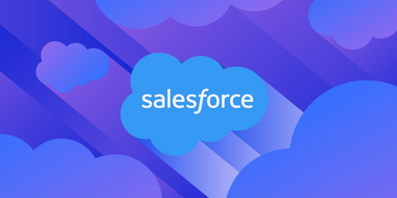 How to Understand the Salesforce Data Model and Navigation?