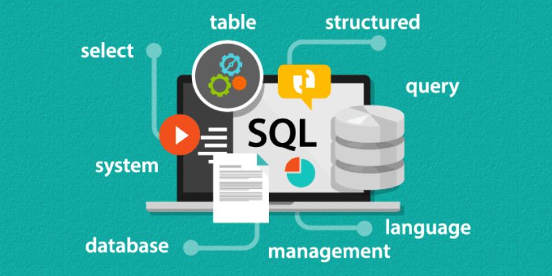 How to Understand SQL in Database Management